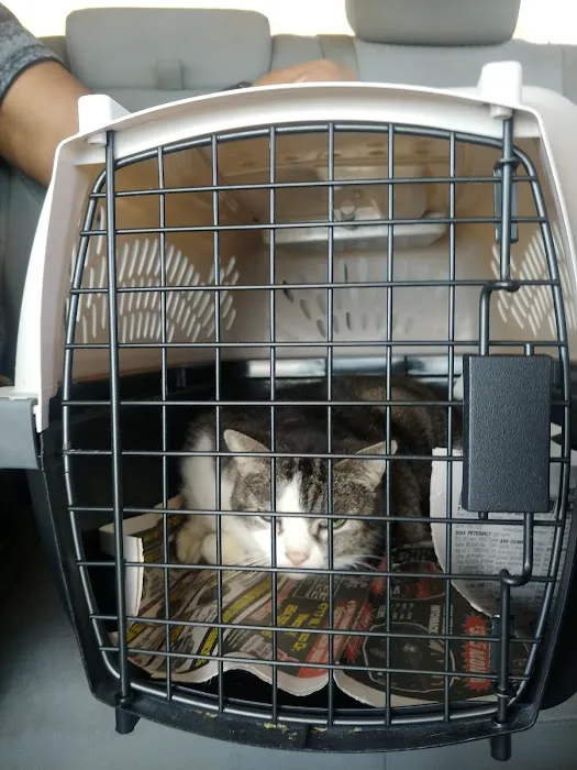 Barkley Animal Clinic Picture 4