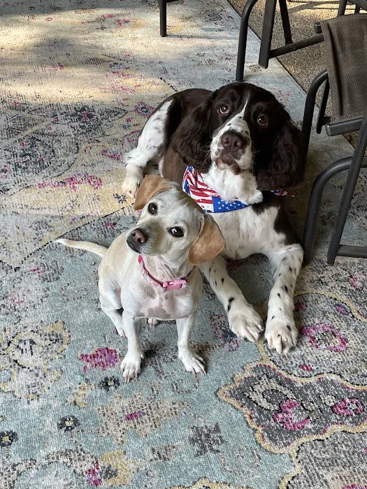 South Bosque Veterinary Clinic Picture 5