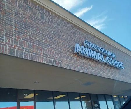 Crossroads Animal Clinic