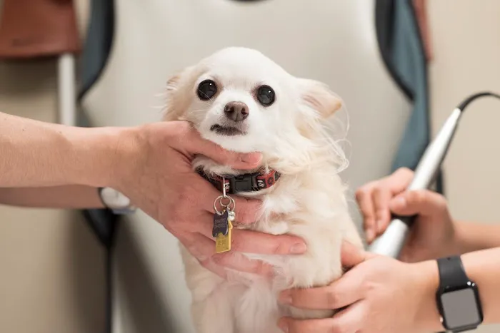 Crossroads Animal Clinic Picture 4