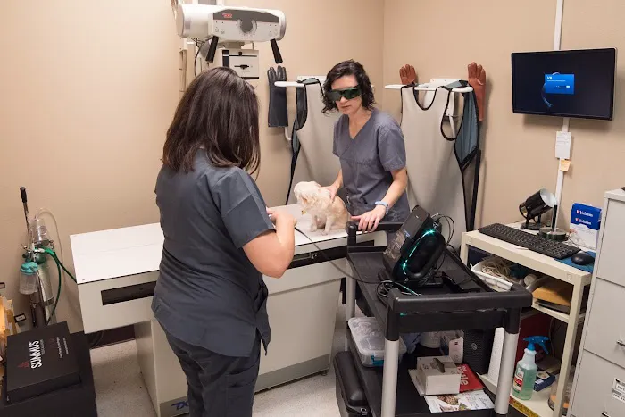 Crossroads Animal Clinic Picture 9