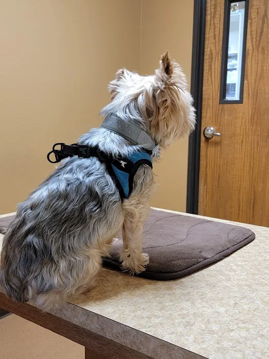 Hewitt Veterinary Hospital Picture 7
