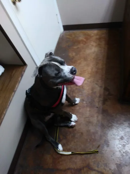 The Veterinary Clinic at Hico Picture 6