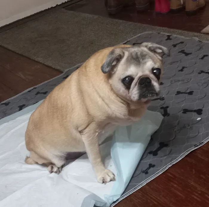 Bluff Dale Animal Hospital Picture 4