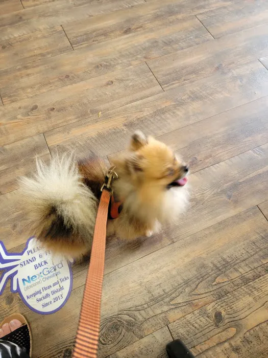 King Animal Clinic Picture 6