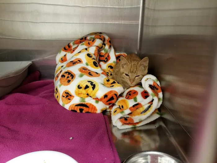 Cedar Creek Animal Hospital Picture 7