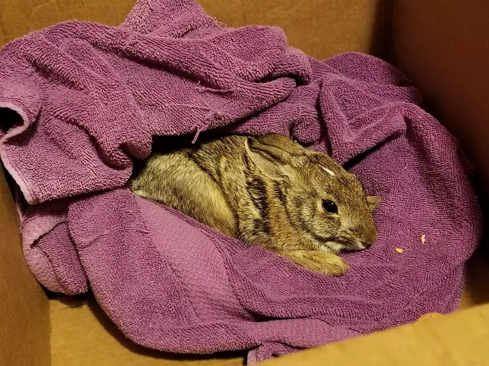 Cedar Creek Animal Hospital Picture 10