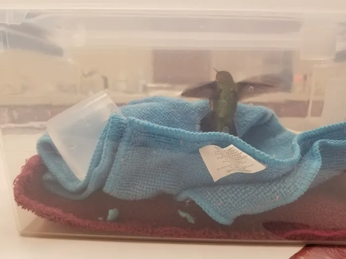 Cedar Creek Animal Hospital Picture 9