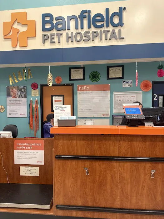 Banfield Pet Hospital Picture 8