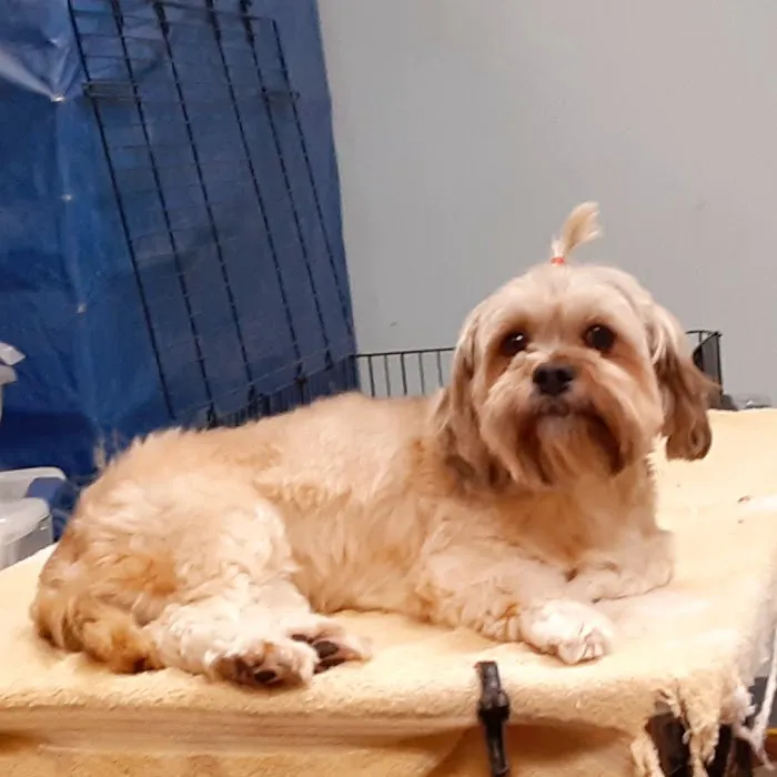 Cold Springs Animal Hospital Picture 6