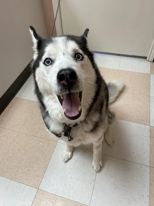Cold Springs Animal Hospital Picture 10
