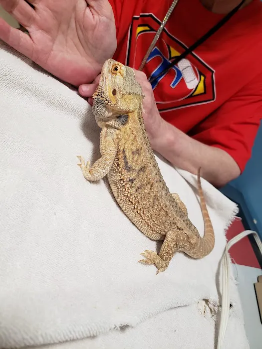 Gray Veterinary Services Picture 5