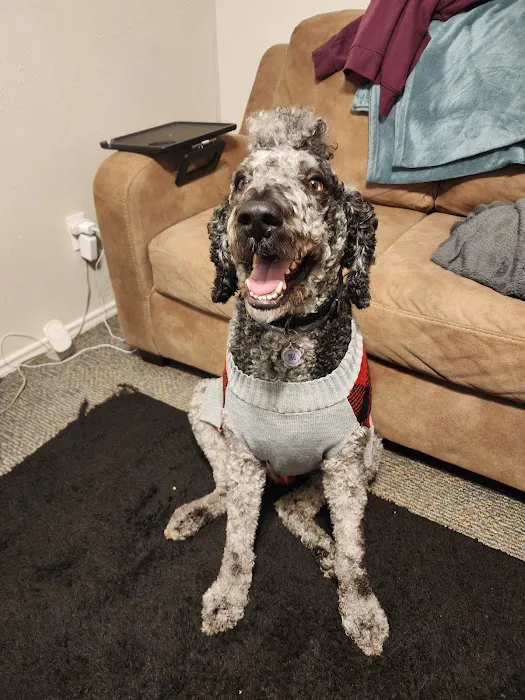 Gray Veterinary Services Picture 4