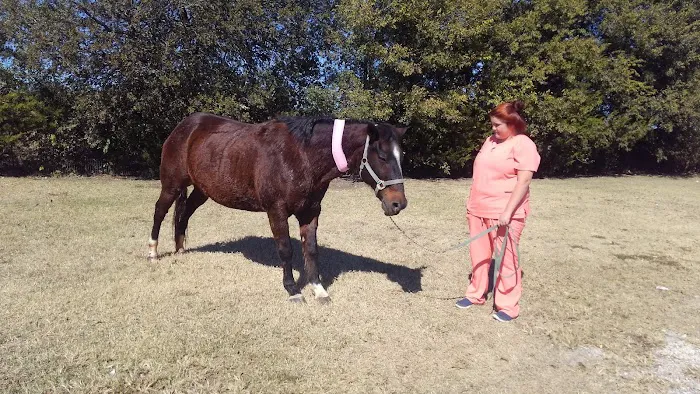 Gray Veterinary Services Picture 3