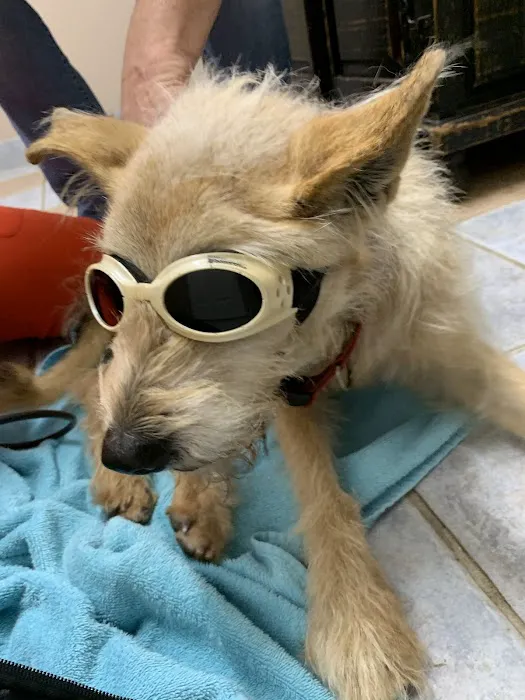 Gray Veterinary Services Picture 7