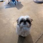 Leonard Animal Clinic