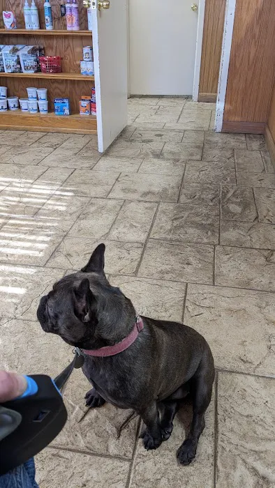 Hide-A-Way Small Animal Clinic Picture 1