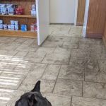 Hide-A-Way Small Animal Clinic