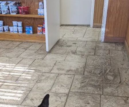 Hide-A-Way Small Animal Clinic