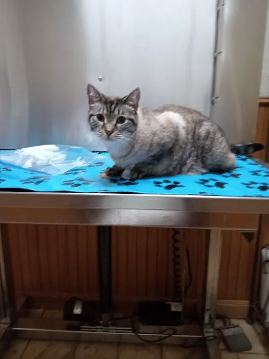 Hide-A-Way Small Animal Clinic Picture 8