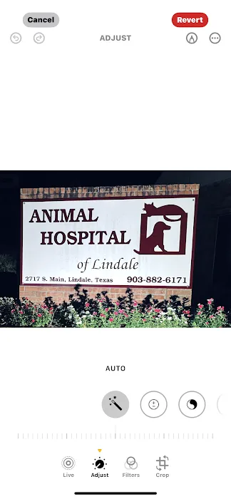 Animal Hospital of Lindale Picture 9