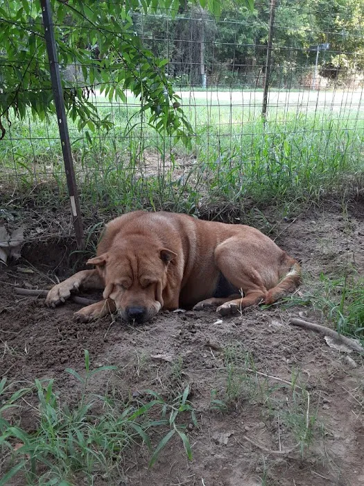 West Tyler Veterinary Clinic Picture 6