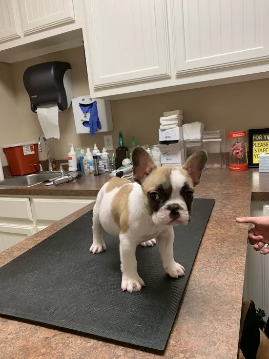 West Tyler Veterinary Clinic Picture 4