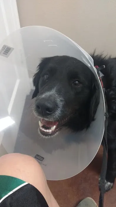 West Tyler Veterinary Clinic Picture 9