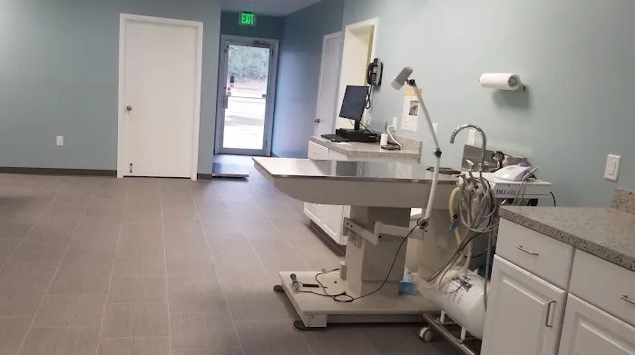 Chandler Veterinary Clinic Picture 3
