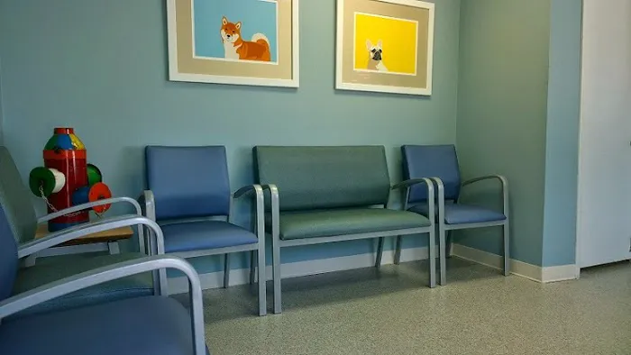 Chandler Veterinary Clinic Picture 10