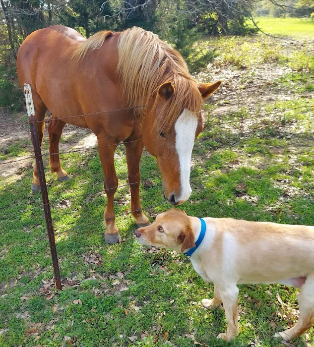 Embry Animal Clinic Picture 5