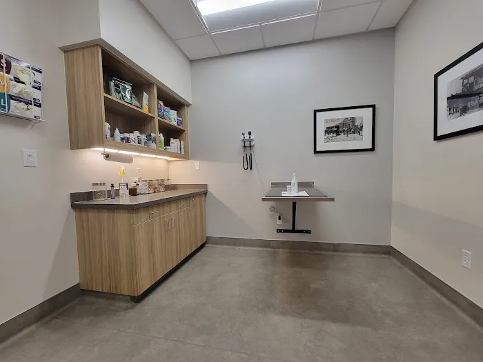 Veterinary Medical Center of Athens Picture 6