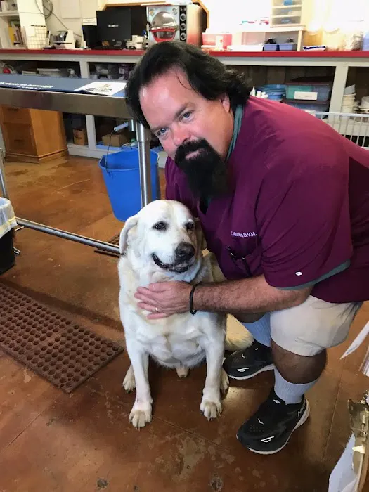 Noonday Veterinary Center Picture 7