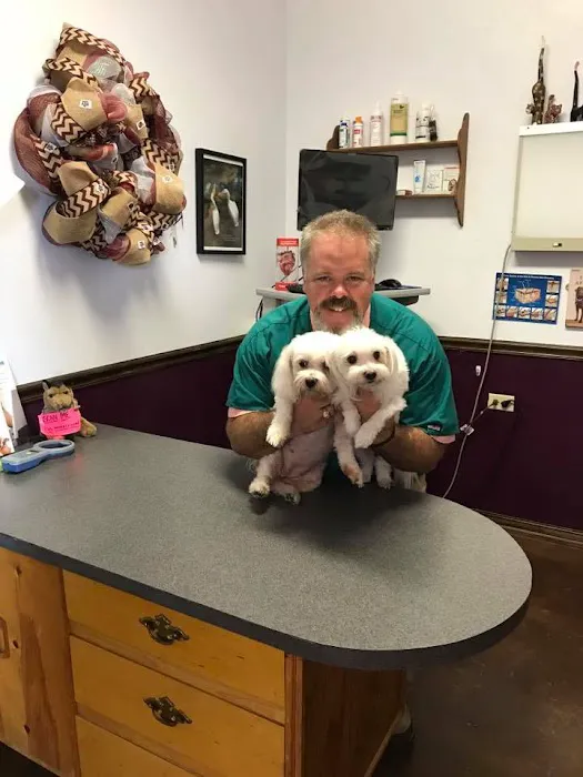 Noonday Veterinary Center Picture 8