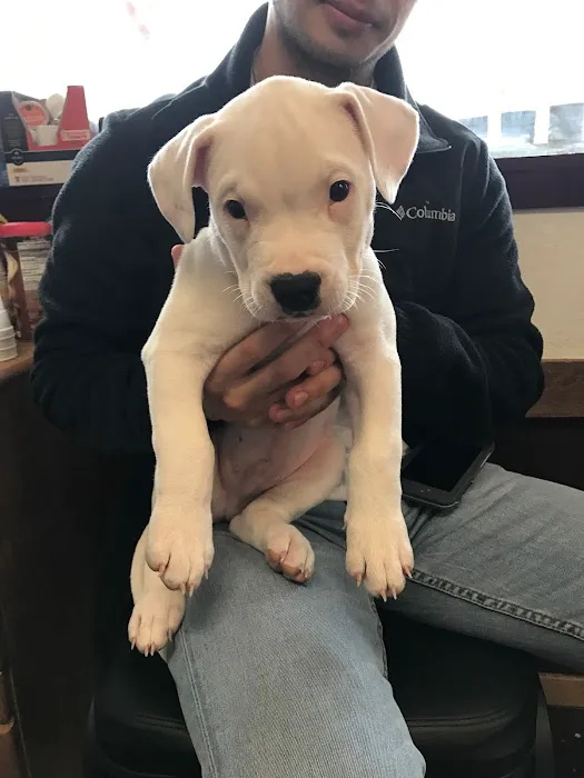 Noonday Veterinary Center Picture 10