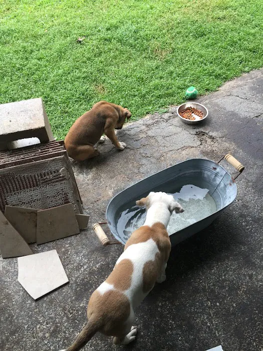 Kingdom Veterinary Clinic Picture 10