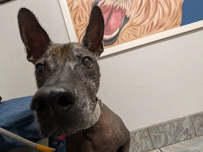 Lakeside Animal Clinic Picture 8