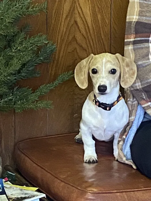 Cedar Creek Veterinary Clinic Picture 2