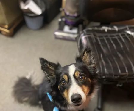 Cedar Creek Veterinary Clinic