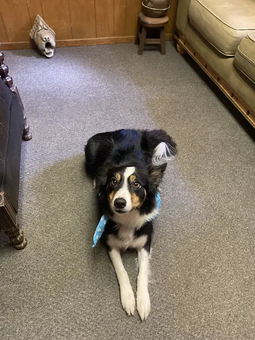 Cedar Creek Veterinary Clinic Picture 8