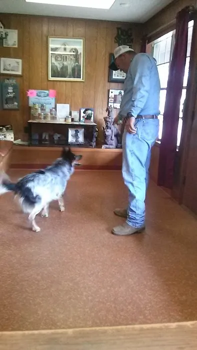 Cedar Creek Veterinary Clinic Picture 9