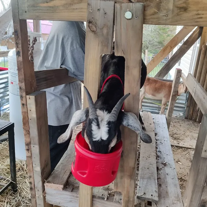 Henderson County Veterinary Hospital Picture 4