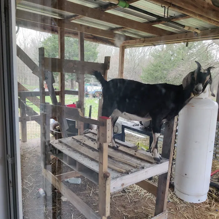Henderson County Veterinary Hospital Picture 5