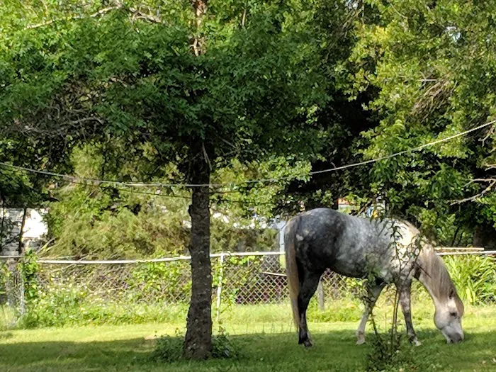 Henderson County Veterinary Hospital Picture 7