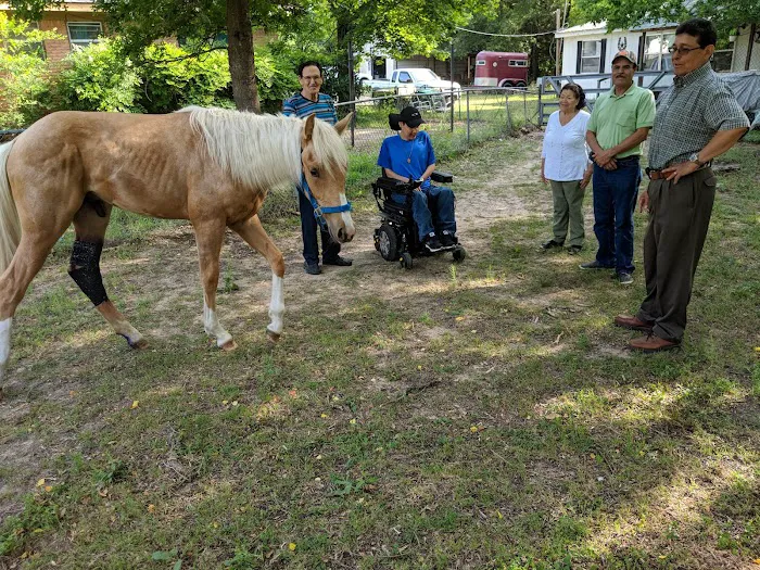 Henderson County Veterinary Hospital Picture 9