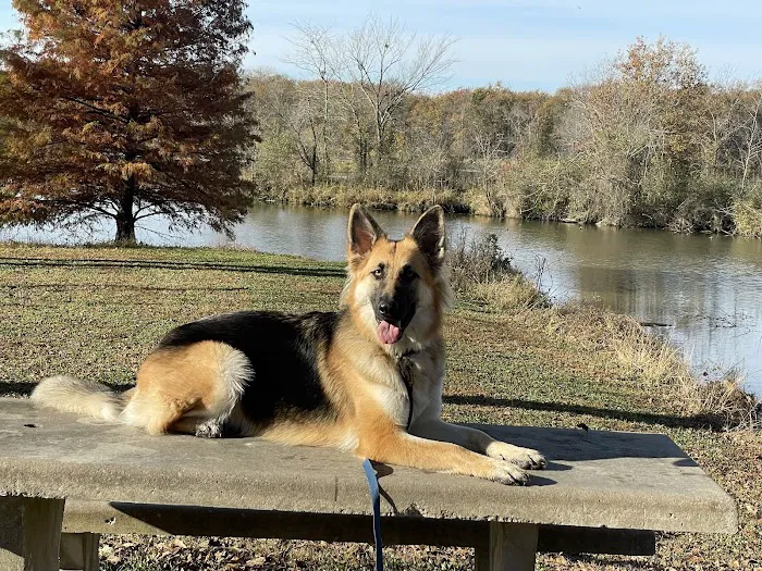 Syler Veterinary Clinic Picture 2