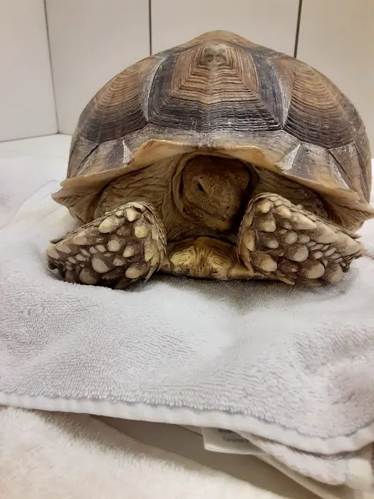 Syler Veterinary Clinic Picture 9