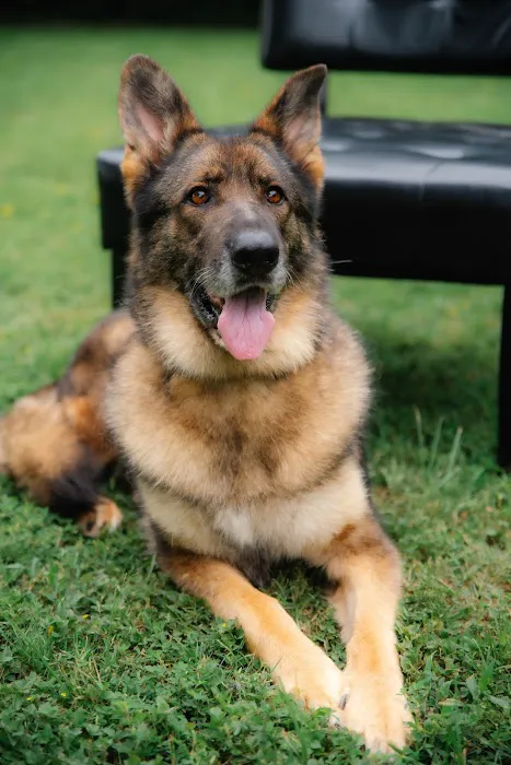 Syler Veterinary Clinic Picture 8