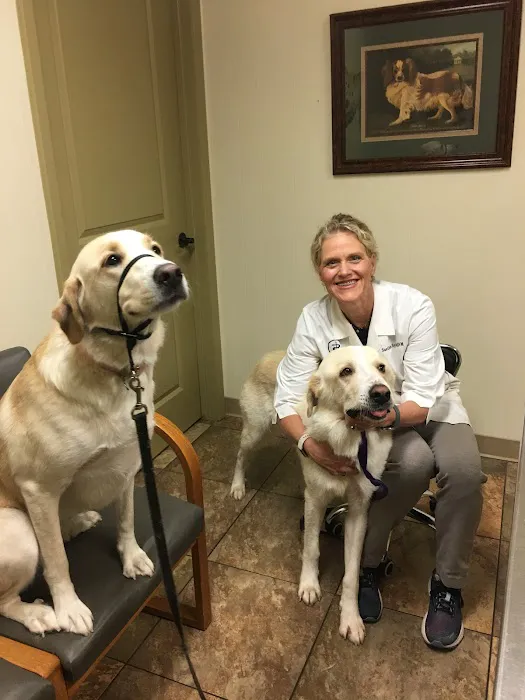 Syler Veterinary Clinic Picture 7