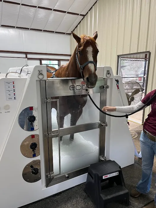 Athens Equine - Todd K. Laughrey DVM, PC Picture 2